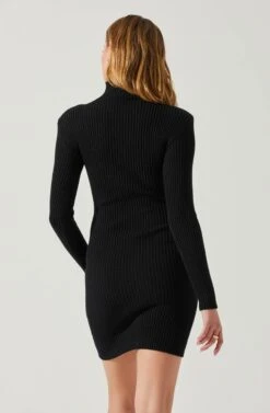Gwendolyn Turtleneck Sweater Mini Dress -Outlet Cozi Luxe Store ACDR100970SH BLACK 5