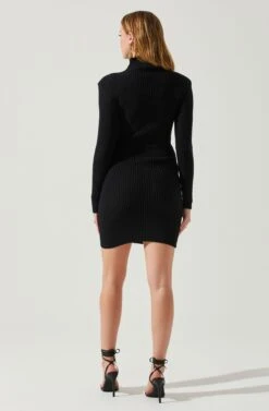 Gwendolyn Turtleneck Sweater Mini Dress -Outlet Cozi Luxe Store ACDR100970SH BLACK 6