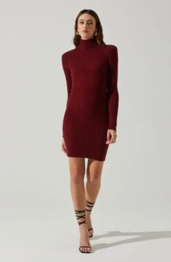 Gwendolyn Turtleneck Sweater Mini Dress -Outlet Cozi Luxe Store ACDR100970SH WINE 1