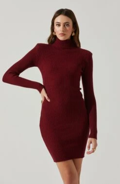 Gwendolyn Turtleneck Sweater Mini Dress -Outlet Cozi Luxe Store ACDR100970SH WINE 3