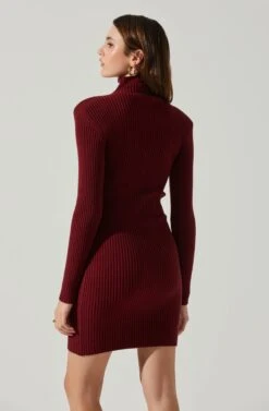 Gwendolyn Turtleneck Sweater Mini Dress -Outlet Cozi Luxe Store ACDR100970SH WINE 5