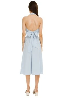 Shayla Midi Skirt -Outlet Cozi Luxe Store ACS8079 FRENCH BLUE 03