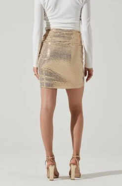 Dancing Queen Sequin Mini Skirt -Outlet Cozi Luxe Store ACS9077 GOLD 4 f752f0a9 65e0 4f42 9254 6d8108bdaa1a